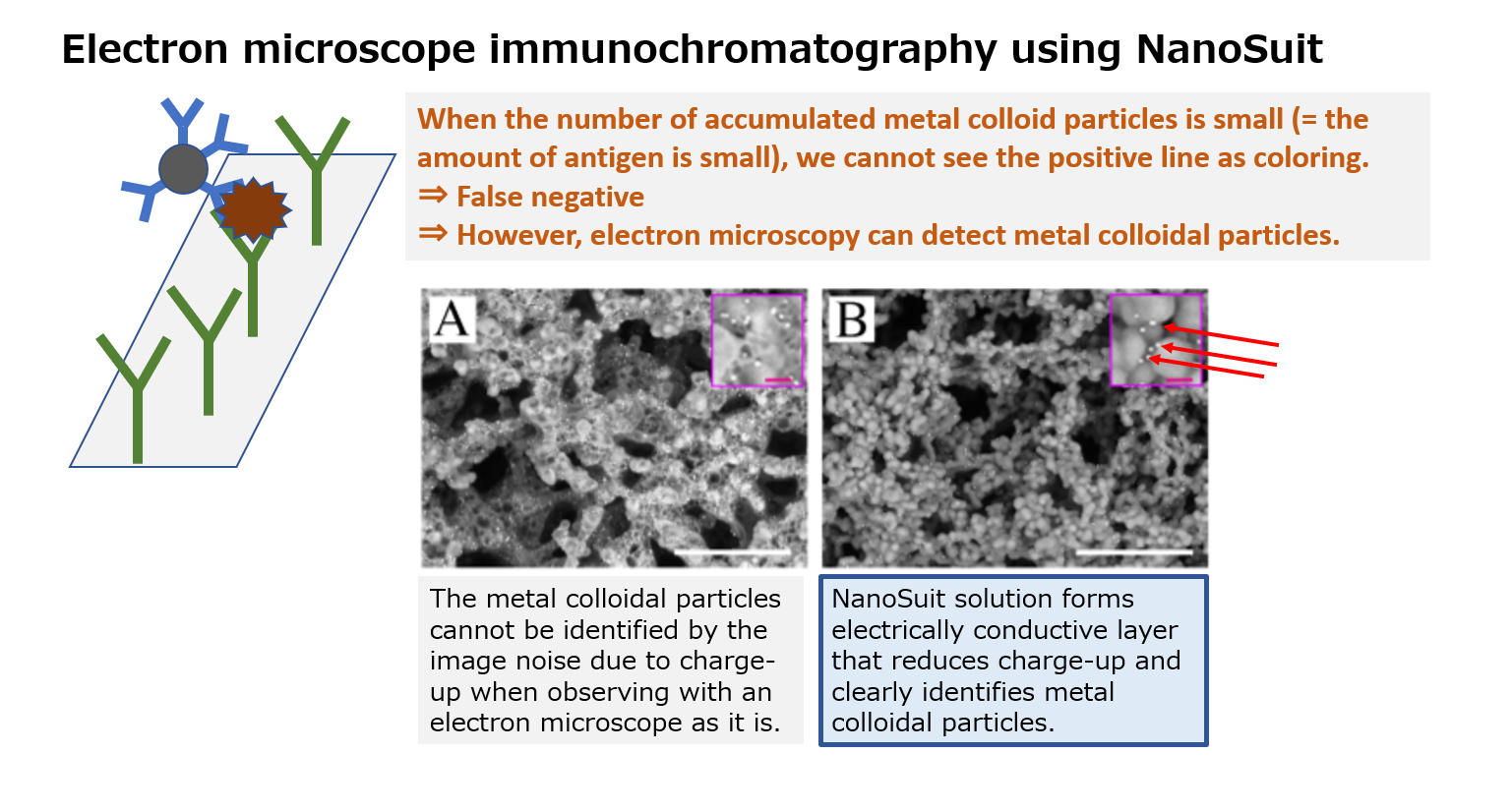 immunochromato2 